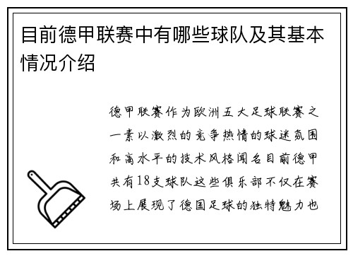 目前德甲联赛中有哪些球队及其基本情况介绍